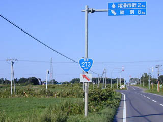 国道273号線