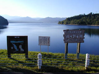 国道273号線